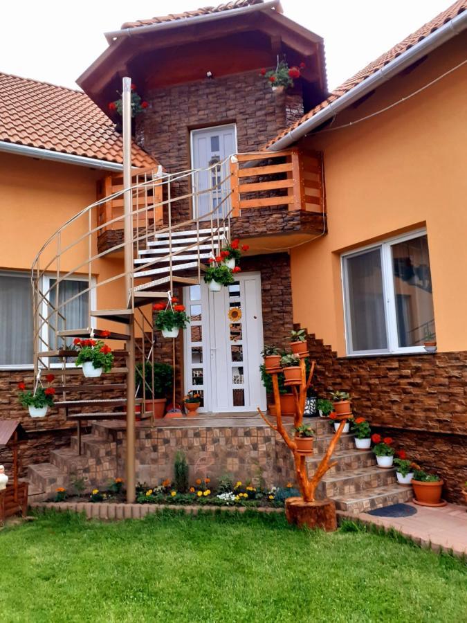 Casa De Oaspeti Cristian Praid Ruang foto