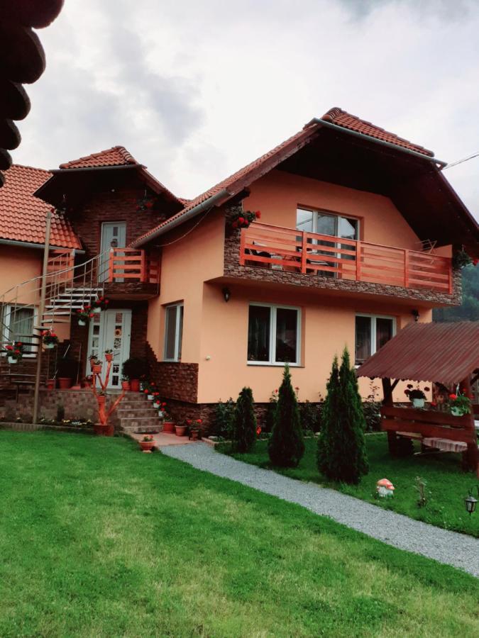 Casa De Oaspeti Cristian Praid Ruang foto