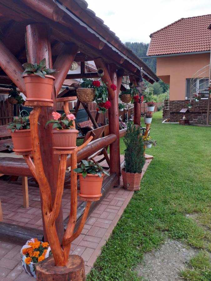 Casa De Oaspeti Cristian Praid Bagian luar foto
