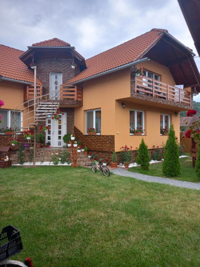 Casa De Oaspeti Cristian Praid Bagian luar foto