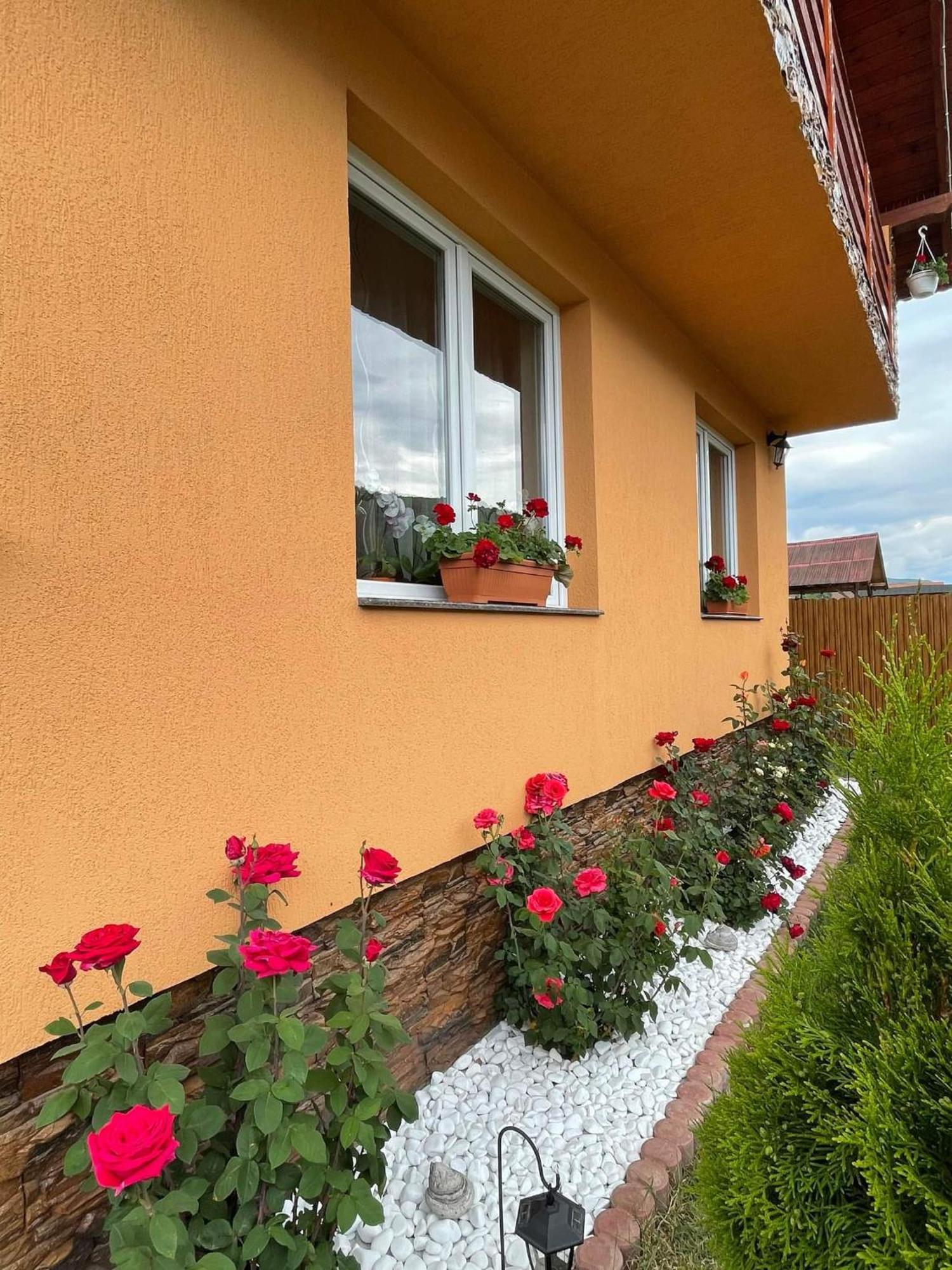 Casa De Oaspeti Cristian Praid Ruang foto